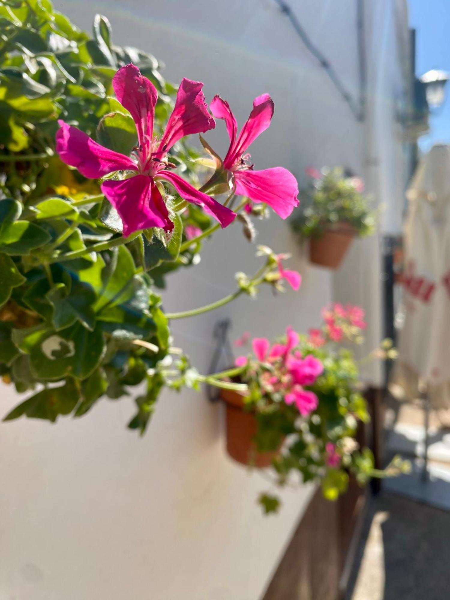 Alojamiento Rural Mar De Olivos Castril Dış mekan fotoğraf
