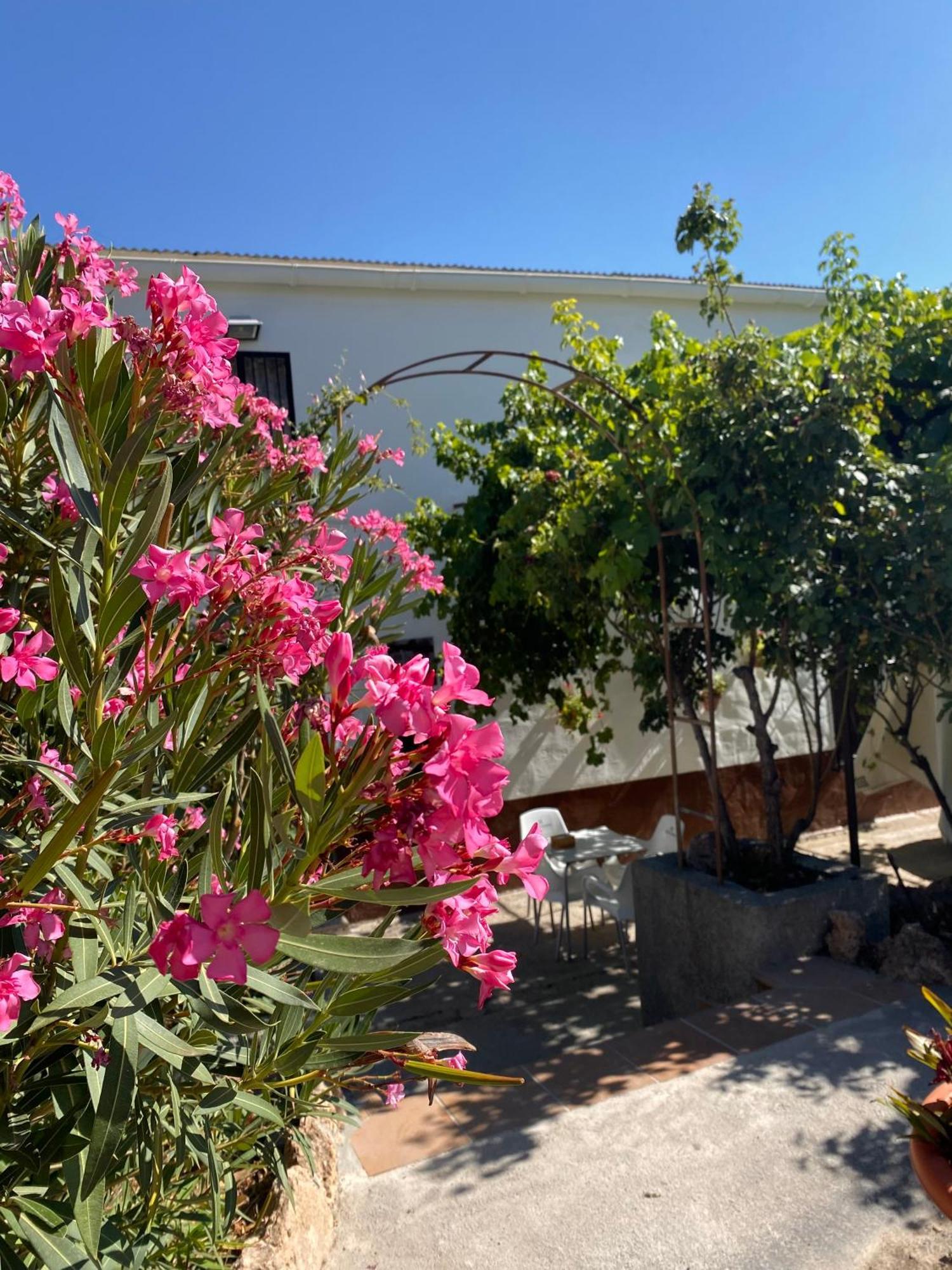Alojamiento Rural Mar De Olivos Castril Dış mekan fotoğraf