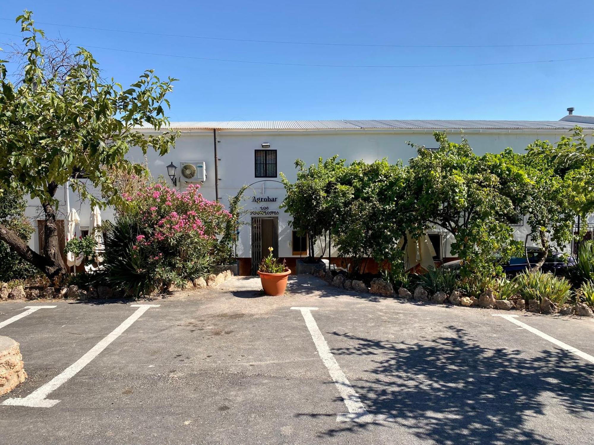 Alojamiento Rural Mar De Olivos Castril Dış mekan fotoğraf